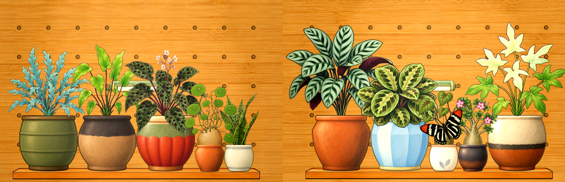 Can I see your...plants?