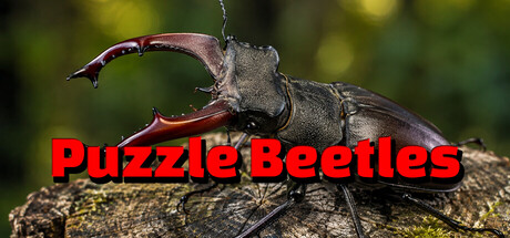 Puzzle Beetles