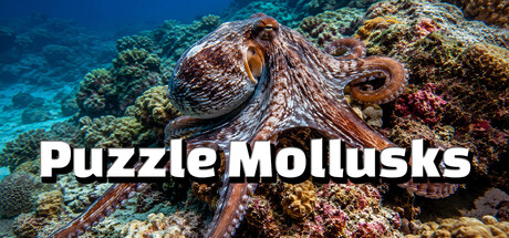 Puzzle Mollusks — Steam header