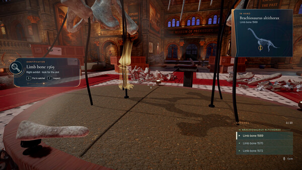 DinoBones: Tidy Up the Museum screenshot