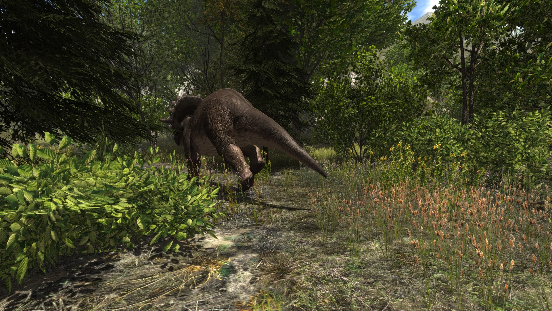 Dinosaur Forest screenshot 7