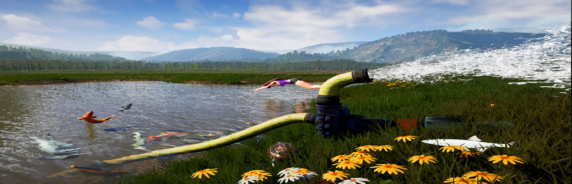 A Pond Hunt
