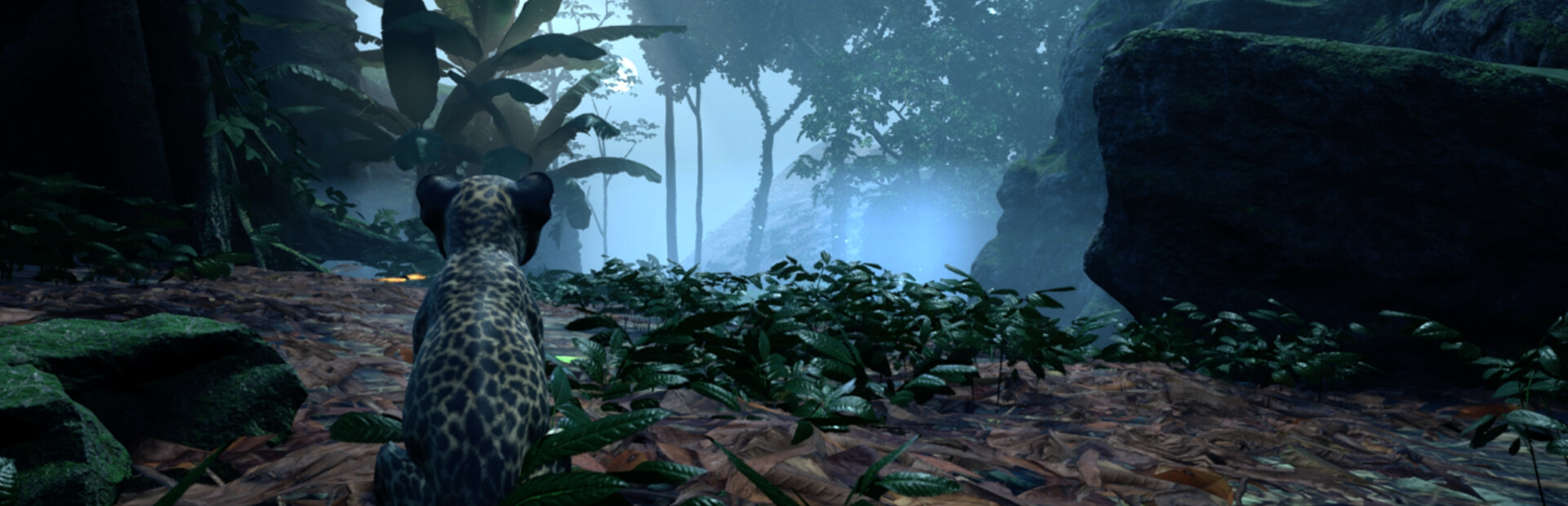 Kito: Lost Trail