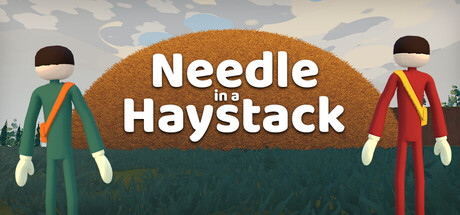 Needle in a Haystack