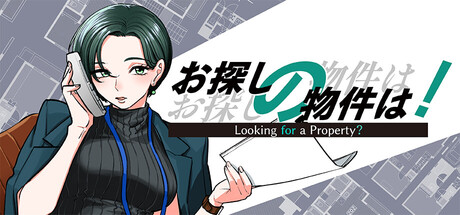 Looking for a Property?