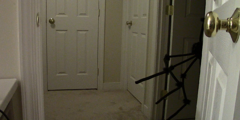 One Night Two Crazies screenshot 4