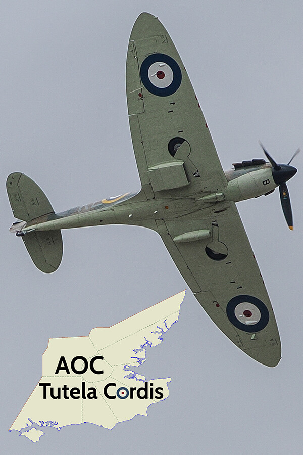 349ef8de-ef0a-da43-79bf-f9128bdc363b