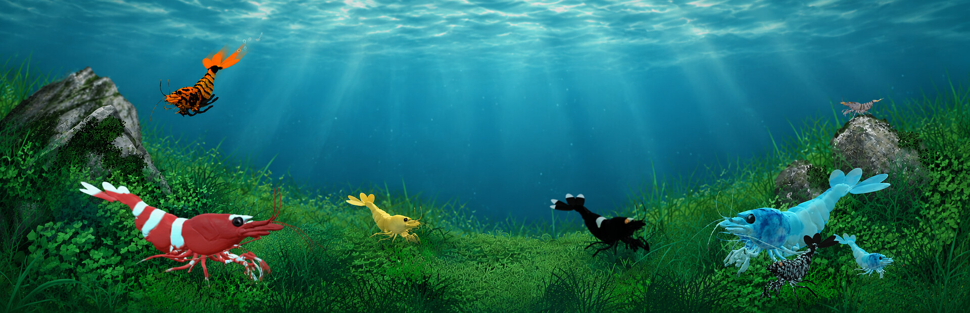 Shrimpscape