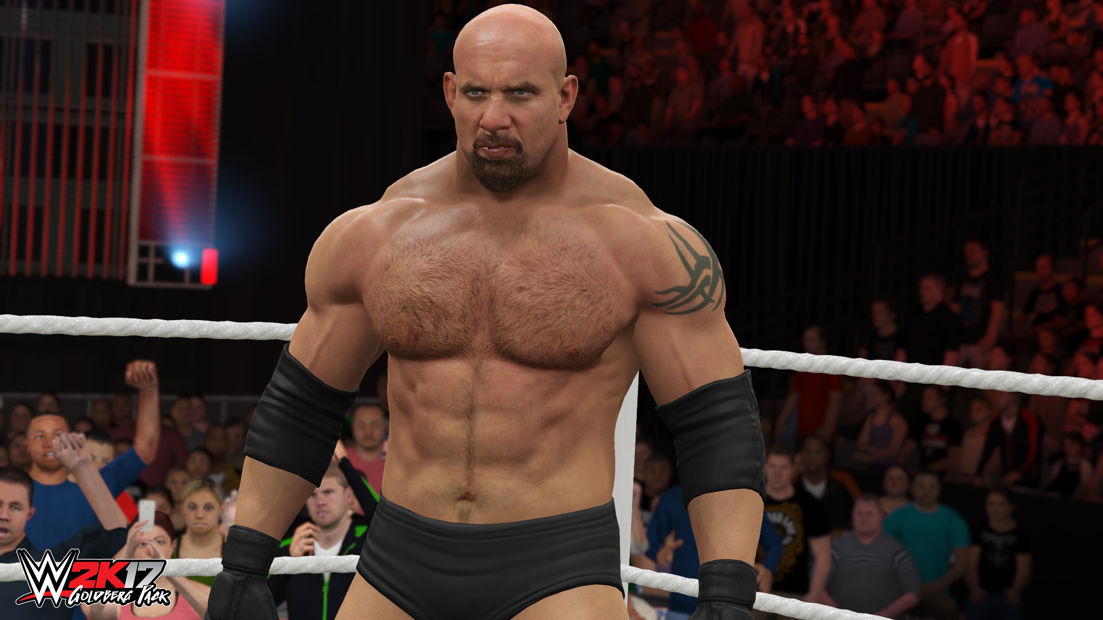 WWE 2K17 screenshot 2