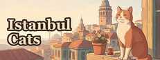 Istanbul Cats