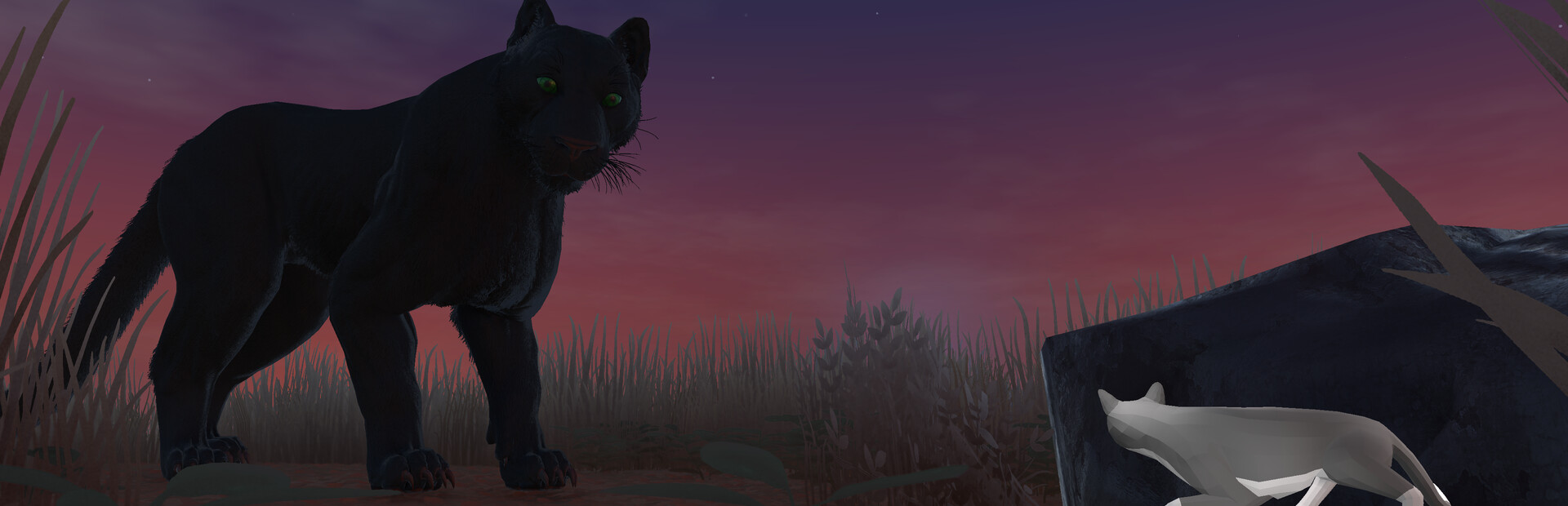 Blackpaw