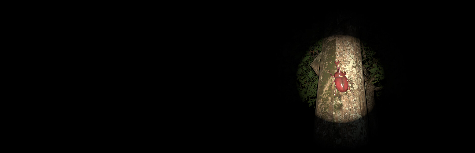 Beetle Forest