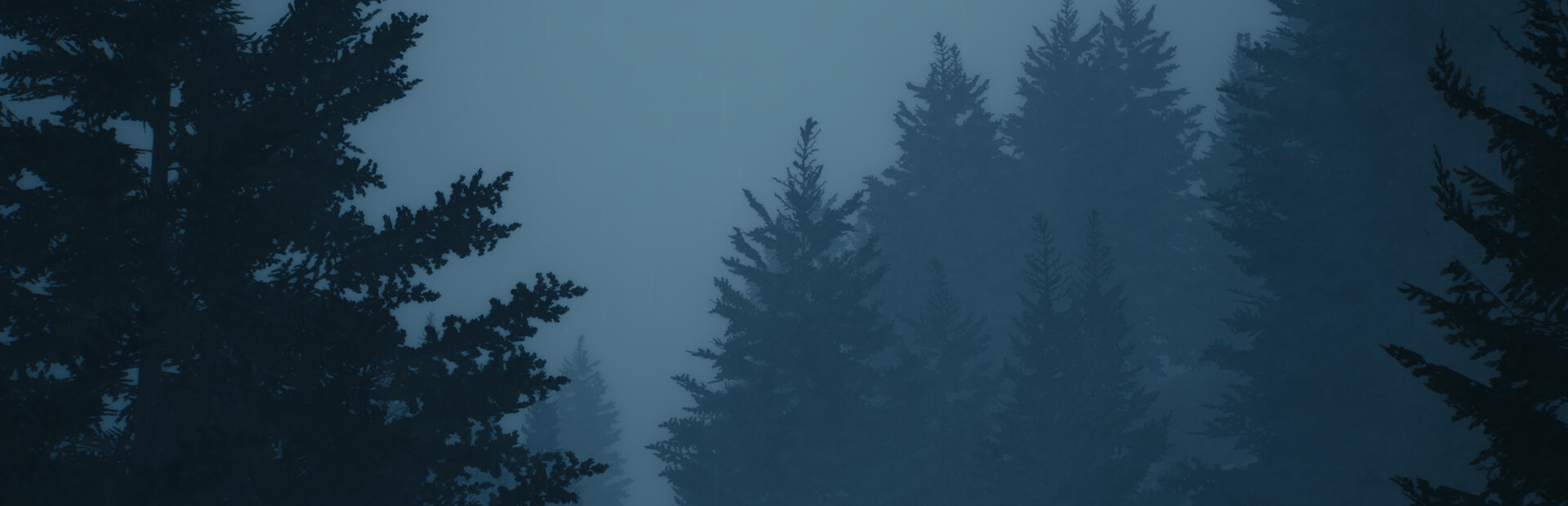 Wulfrot