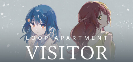 Loop Apartment: Visitor
