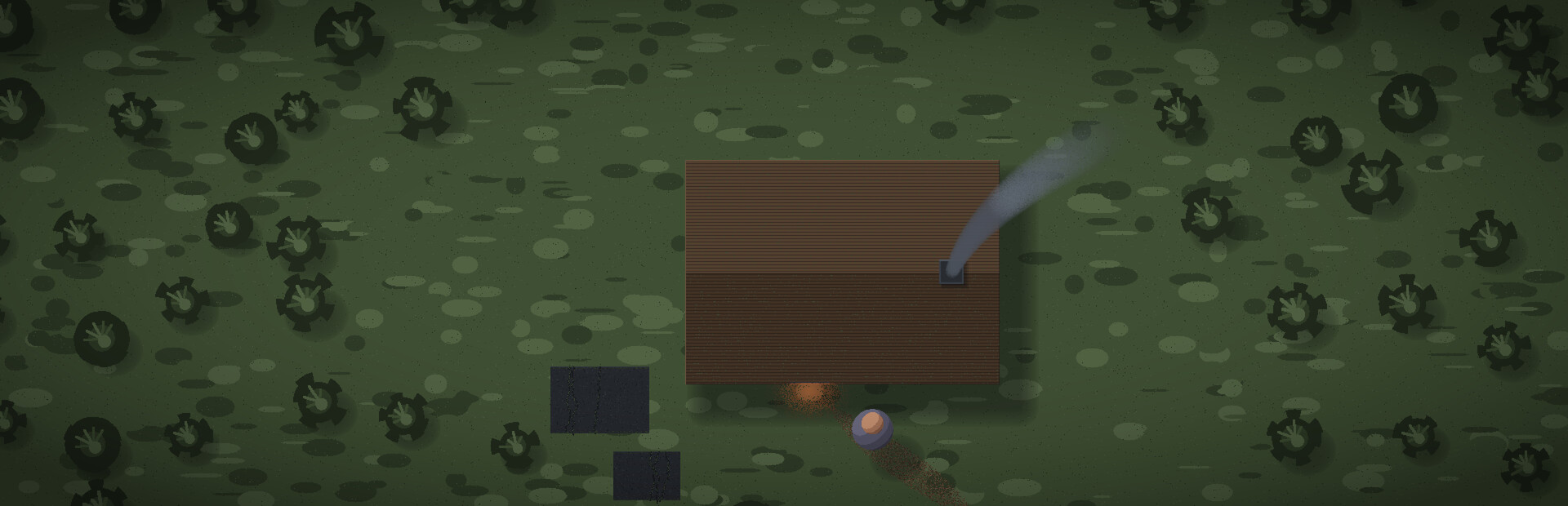Aftergrowth