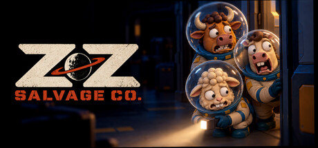 ZZ SALVAGE CO.