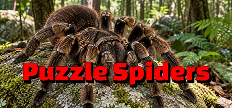 Puzzle Spiders