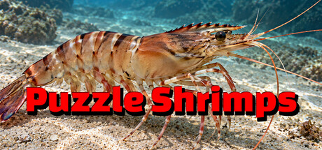 Puzzle Shrimps