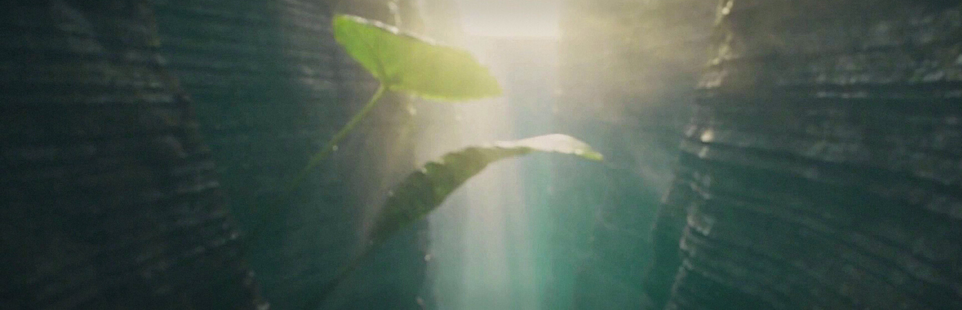 The Legend of Water