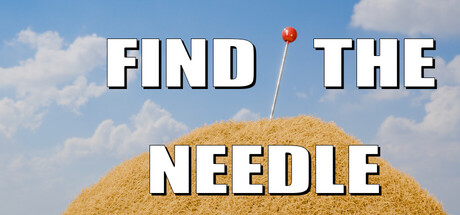 Find The Needle