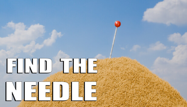 Find The Needle