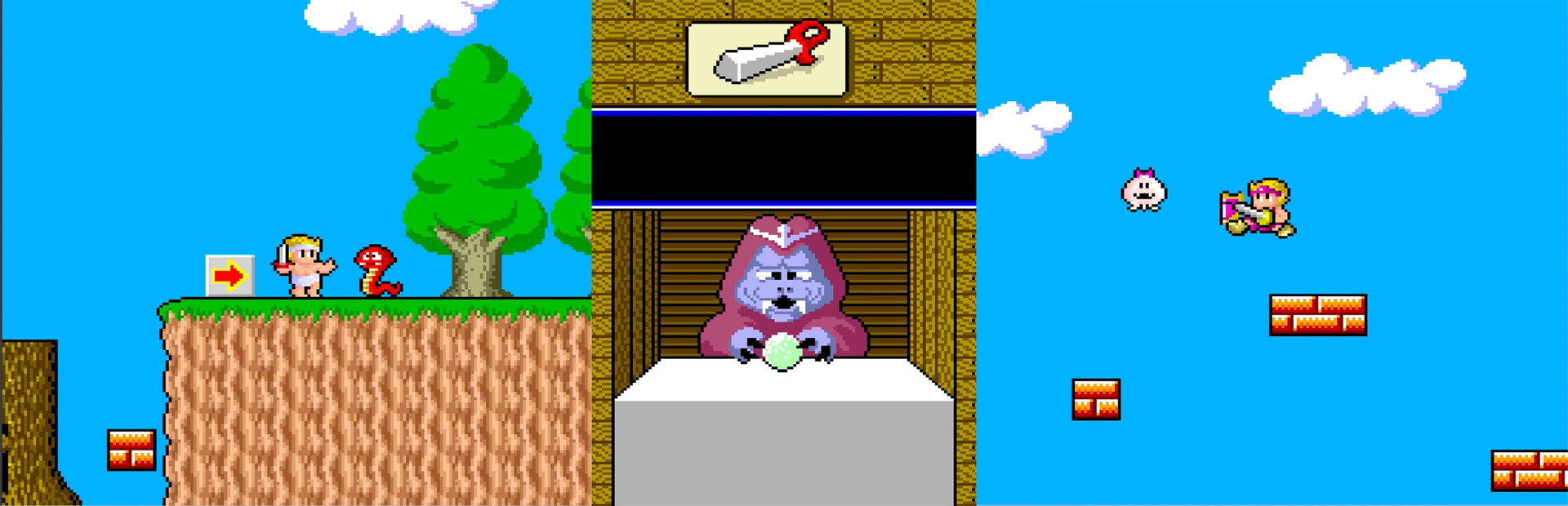 Wonderboy in Monster Land
