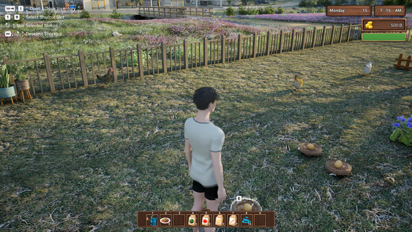 Screenshots