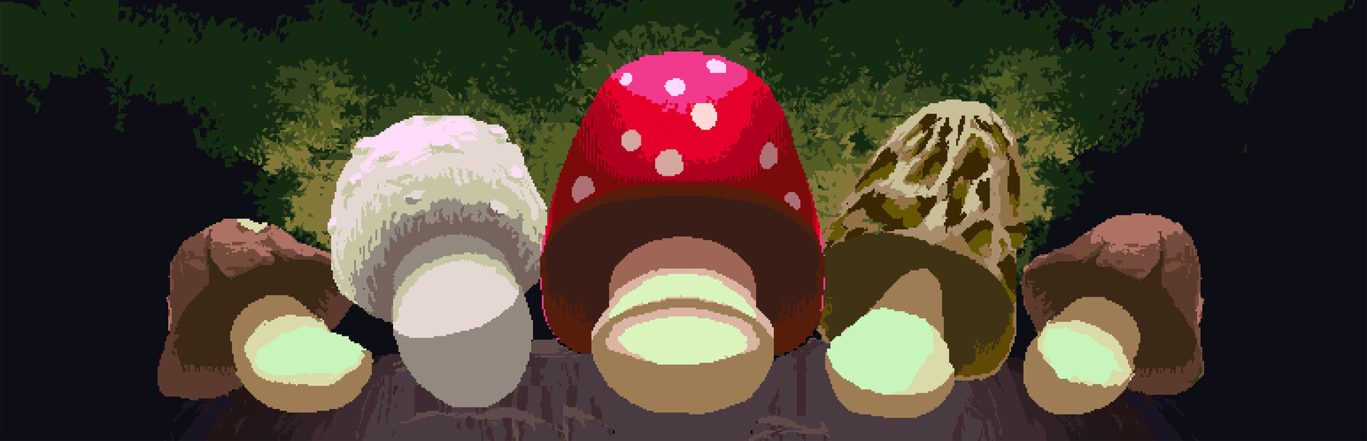 Mycelarium