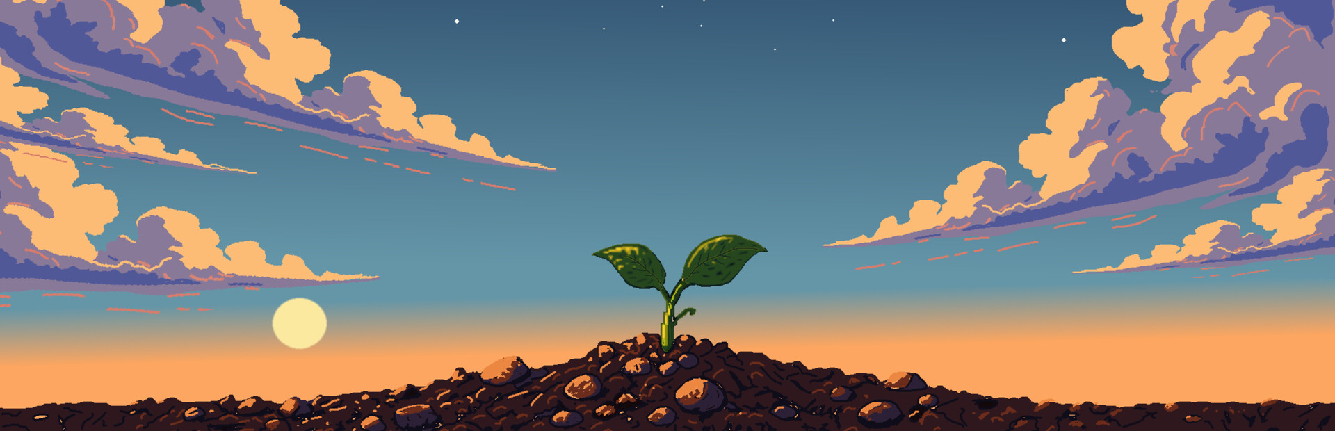 Seed The Planet