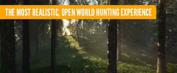 TheHunter: Call of the Wild thumbnail
