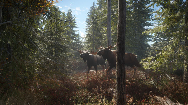 猎人：荒野的召唤 / theHunter COTW插图1