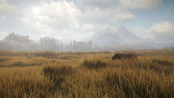 猎人：荒野的召唤 / theHunter COTW插图2