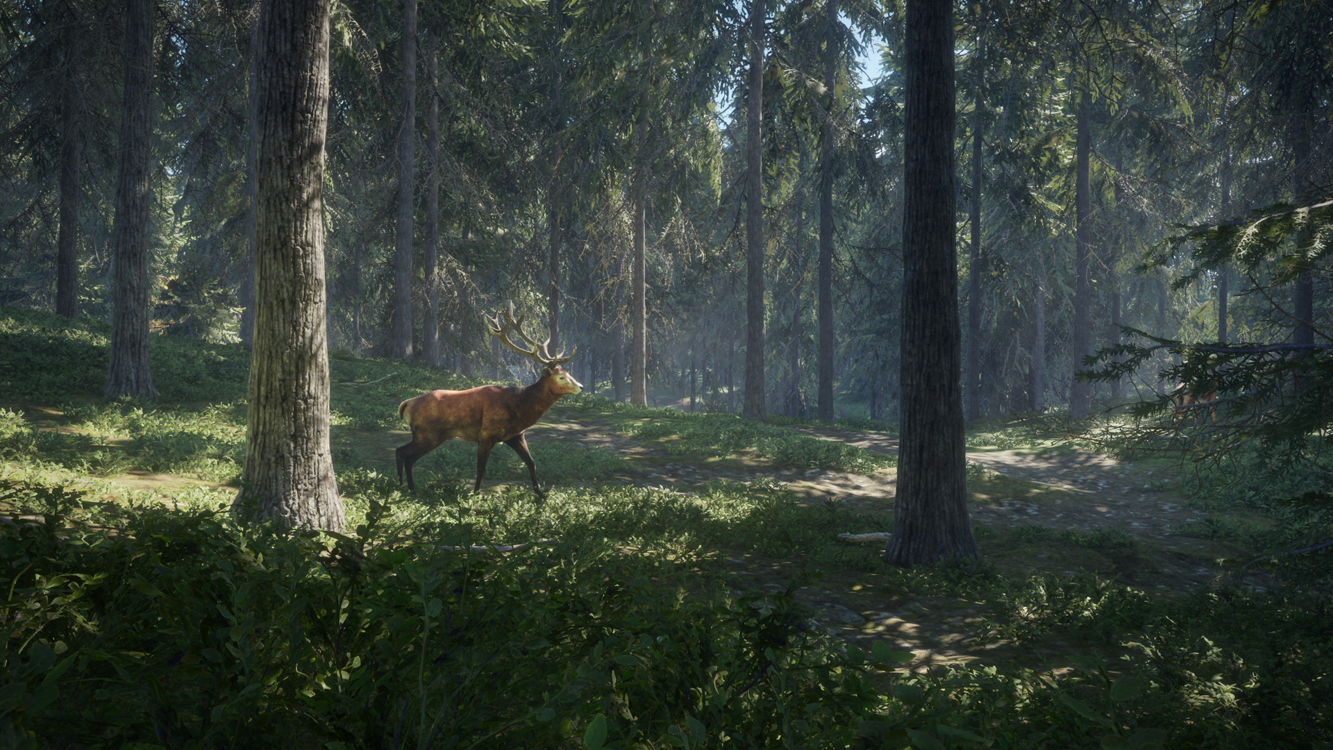 The Hunter Call of the Wild PC Full Español 5