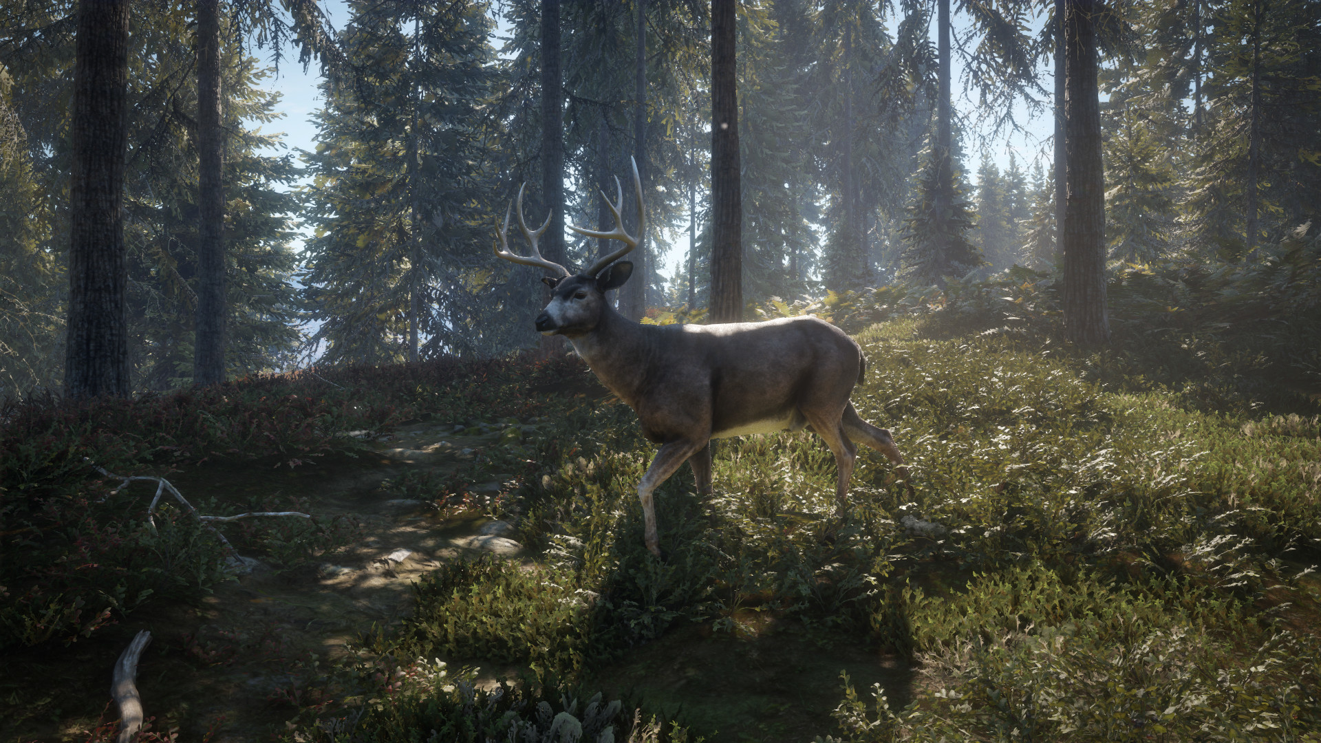 theHunter: Call of the Wild™ — изображение 24
