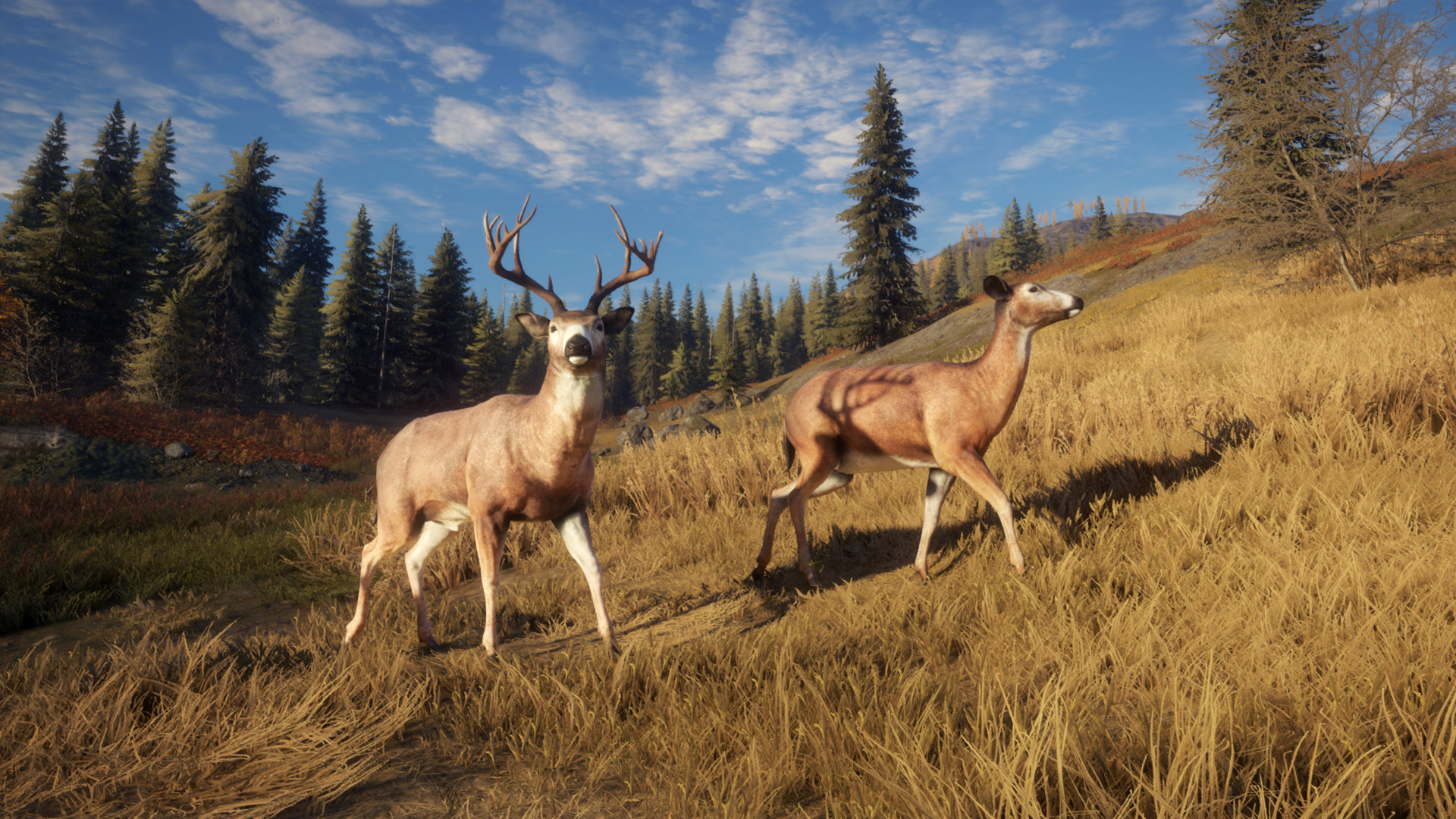 theHunter: Call of the Wild™ — изображение 10