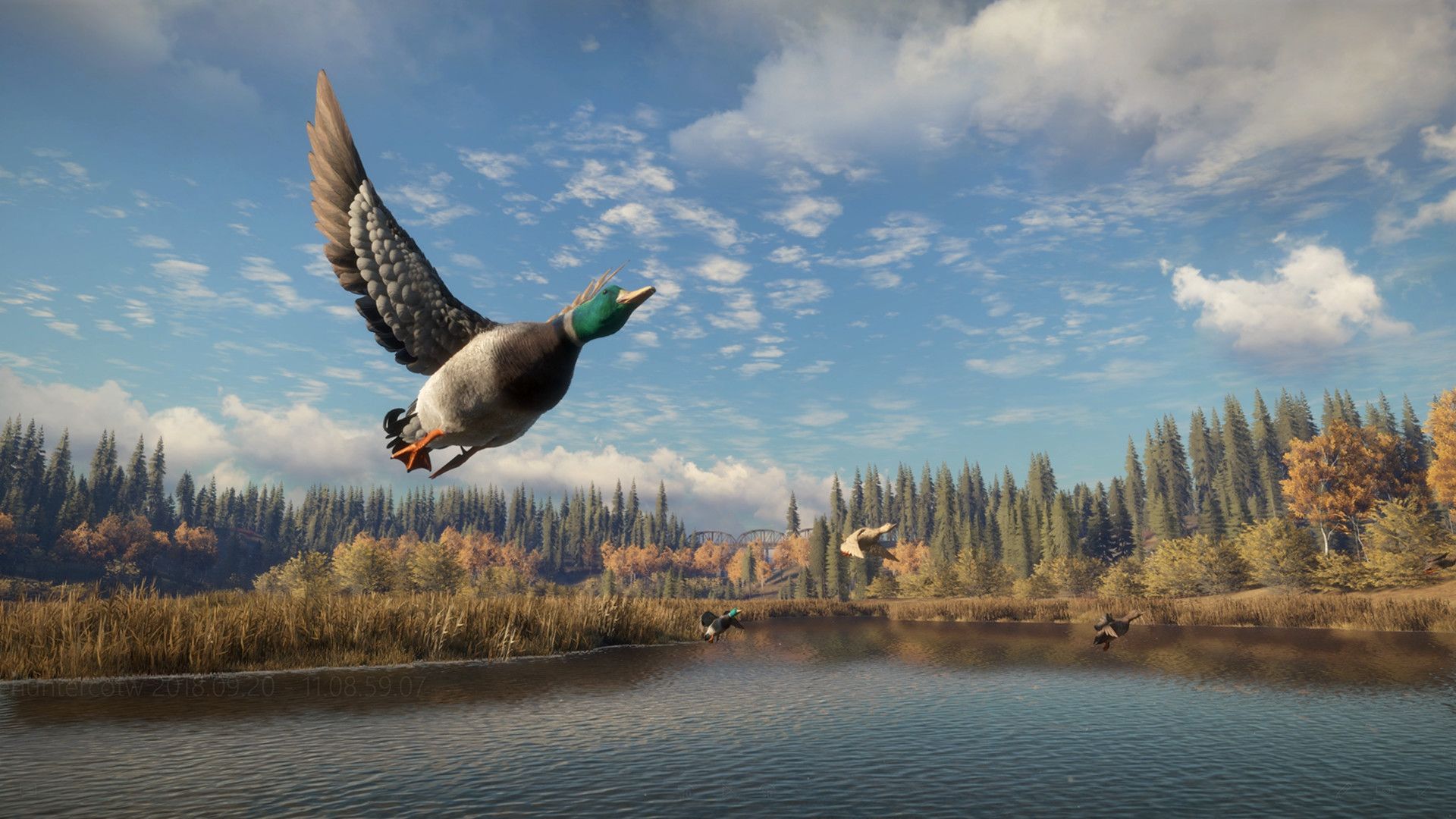 theHunter: Call of the Wild™ — изображение 4