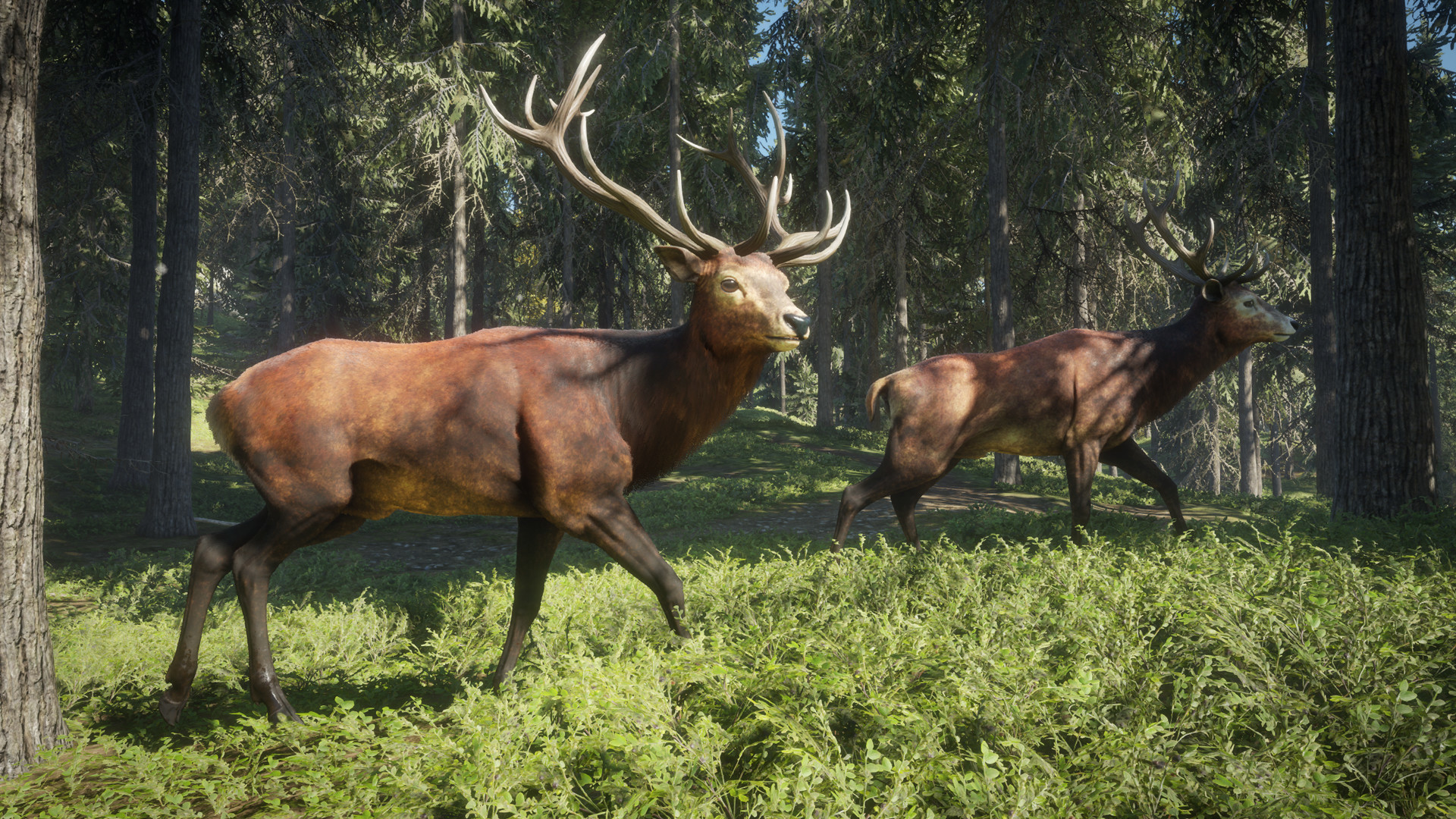 The Hunter Call of the Wild PC Full Español 6