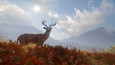 Screenshot #9