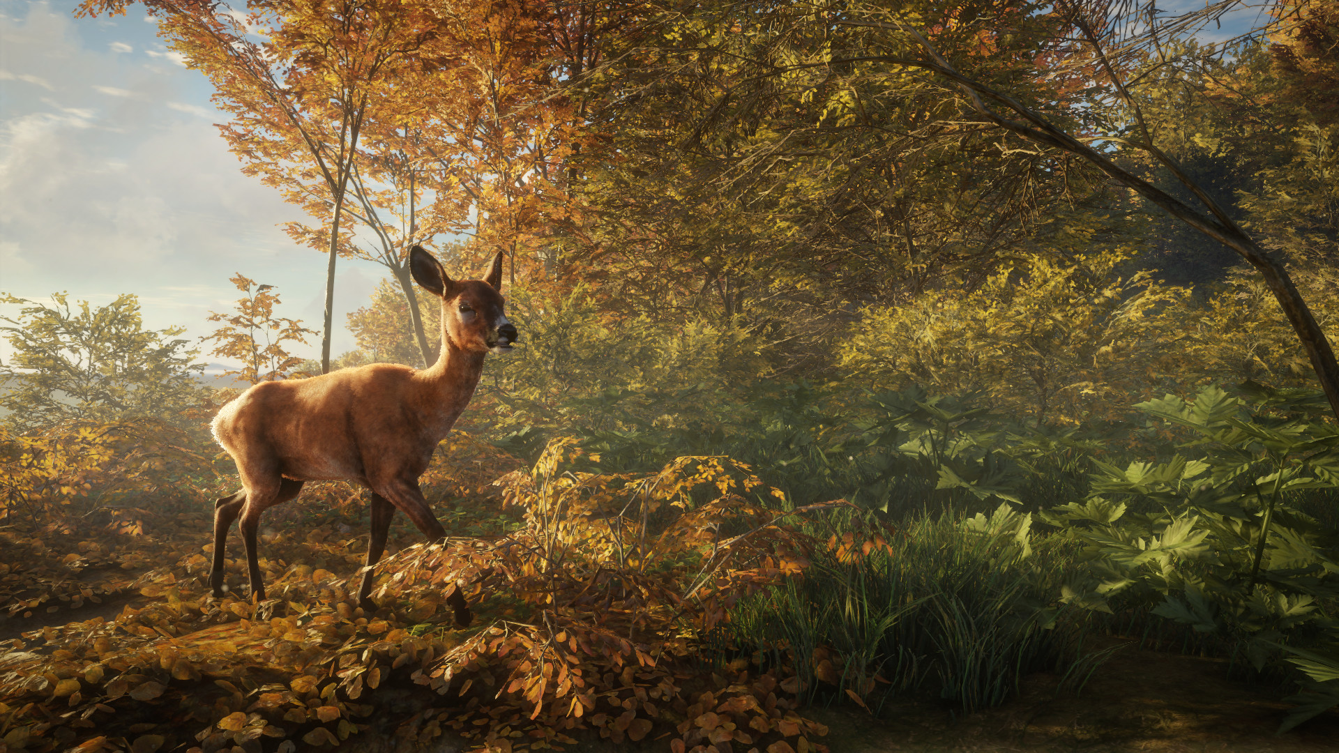 The Hunter Call of the Wild PC Full Español 7