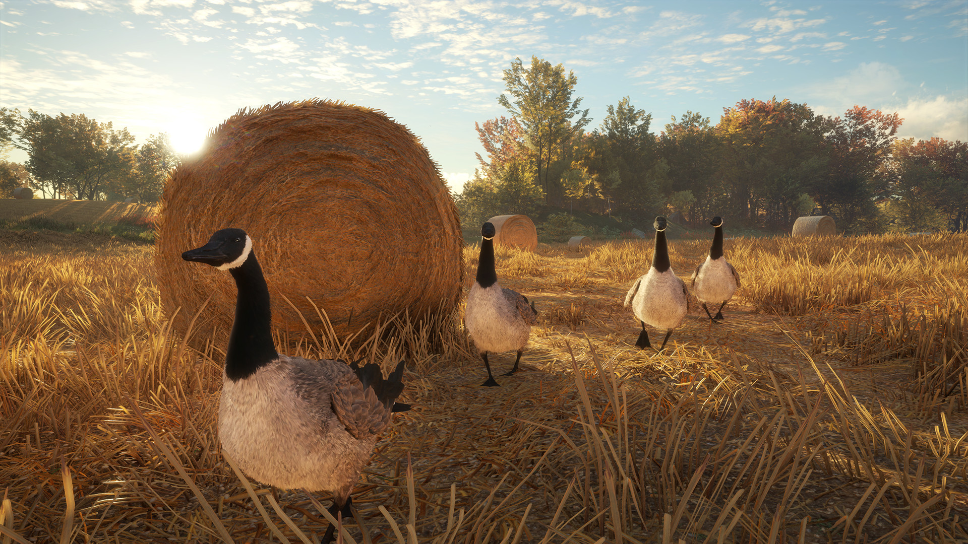 theHunter: Call of the Wild™ — изображение 11