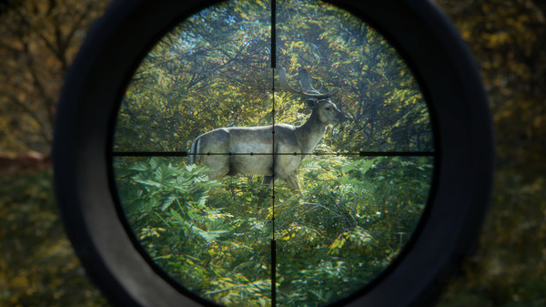 猎人:荒野的召唤 / theHunter COTW插图3 猎人:荒野的召唤 / theHunter COTW插图3