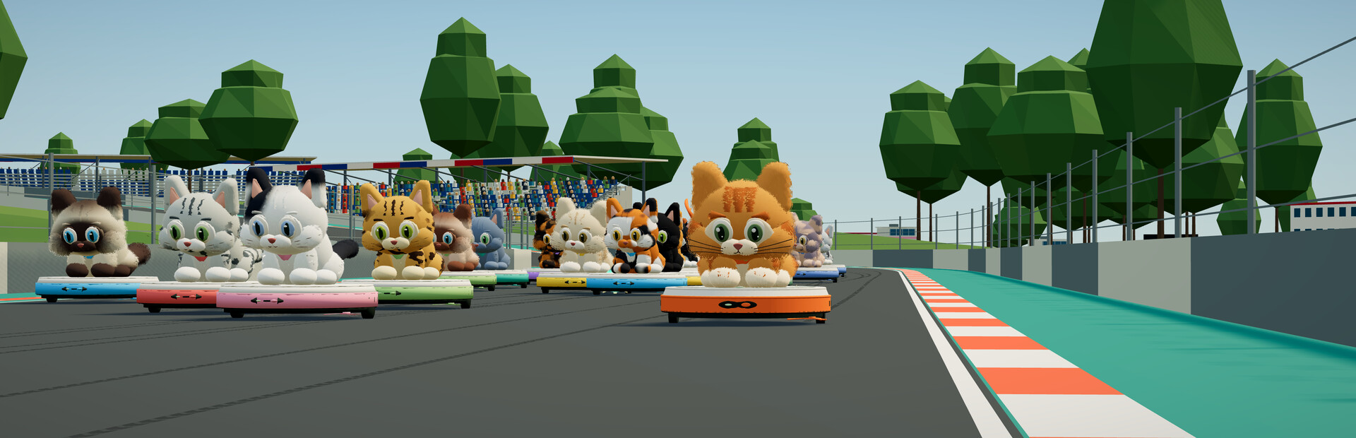 Formula Cat