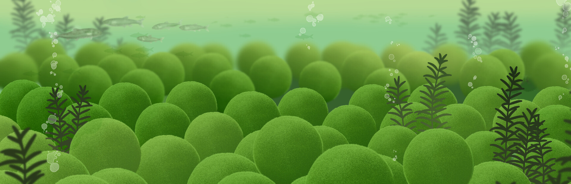 Marimo-VS-IAS Demo