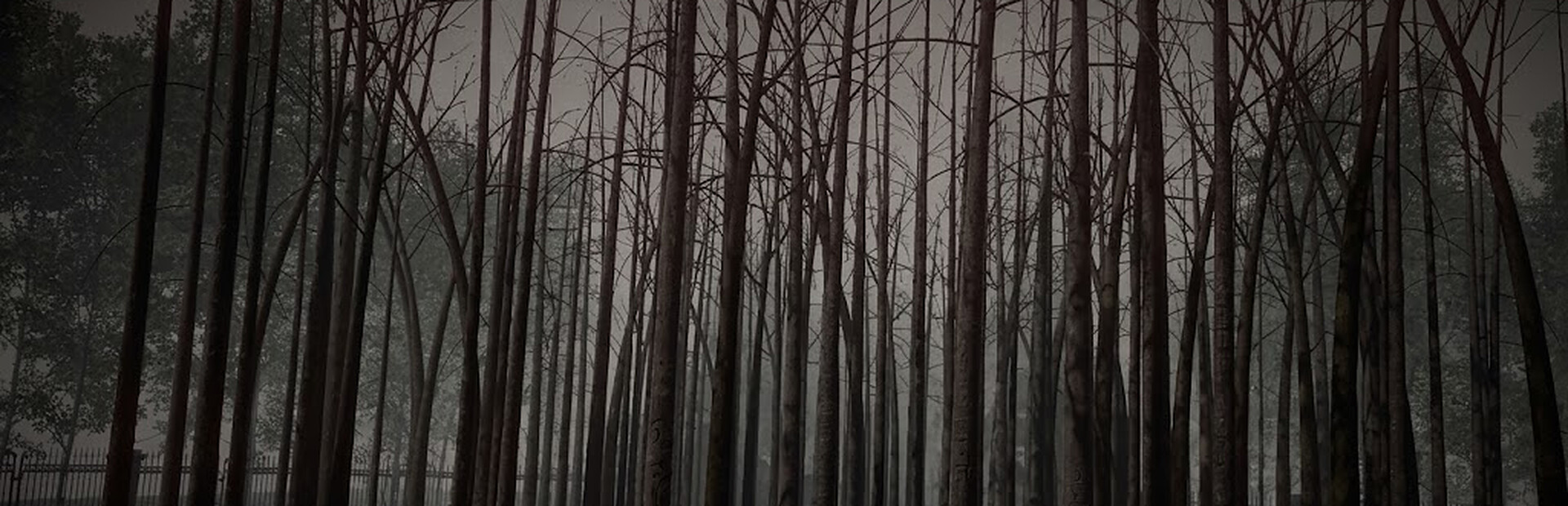 The Unhidden