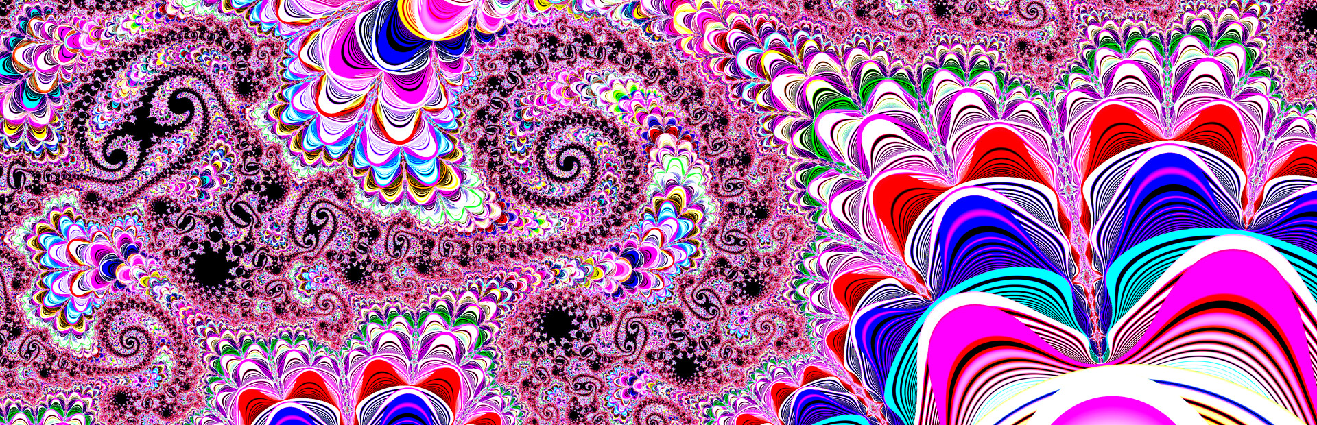 RealMandelRender - Fractal Visualizer