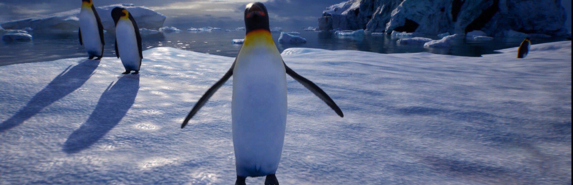 Life of a Penguin