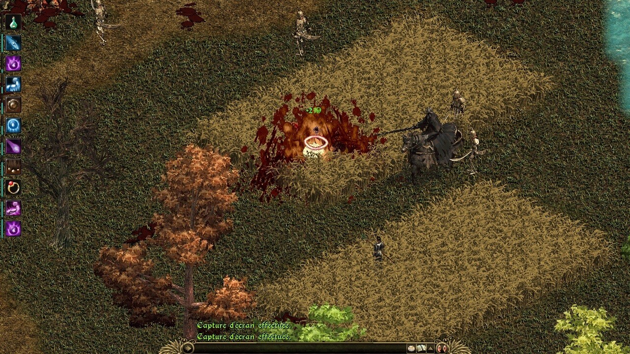 The 4th Coming (T4C) screenshot 8