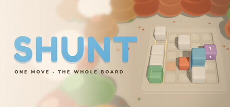 Shunt