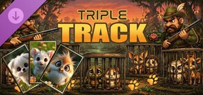 Triple track (images)