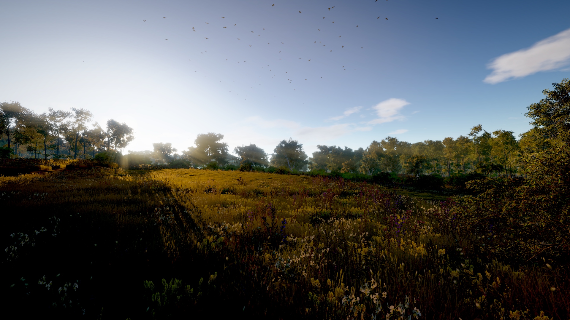 Virtual-O screenshot 6